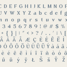 zegion-modern-geometric-sans-serif-roomspace-creative-lab-12.png