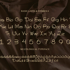 zenicka-light-serif-font-catalystco-studio-2.jpg