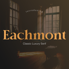 zia-eachmont-zia-creative-studio-2.png