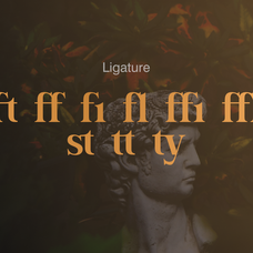 zia-eachmont-zia-creative-studio-4.png