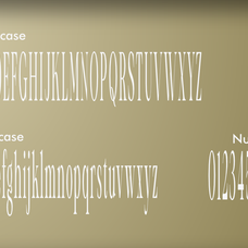 zia-glastyo-condensed-condensed-serif-family-zia-creative-studio-6.png