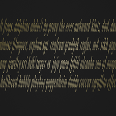 zia-glastyo-condensed-condensed-serif-family-zia-creative-studio-8.png